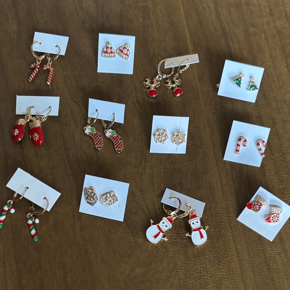 Choose 1 Festive Winter/Holiday Earring